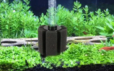 What Is The Best Sponge Filter Brand?
