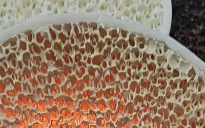 How To Reduce Inclusions In Aluminum Casting With Ceramic Filters