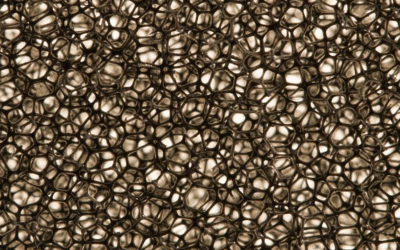 Paper Filter Vs Foam Filter: Which Is Better?