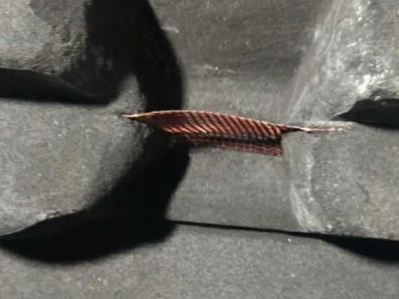 fiberglass mesh filter for steel casting